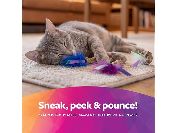 SmartyKat SmartyKat Frisky Fun Compressed Catnip