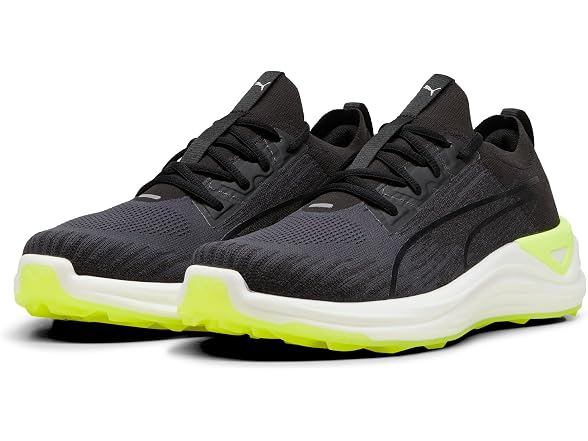 Puma Men's Electrocat Nitro Shoes