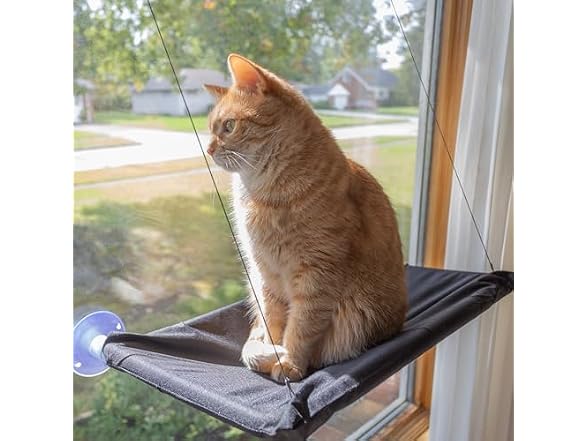 Cat Window Perch - Cat Window Hammock