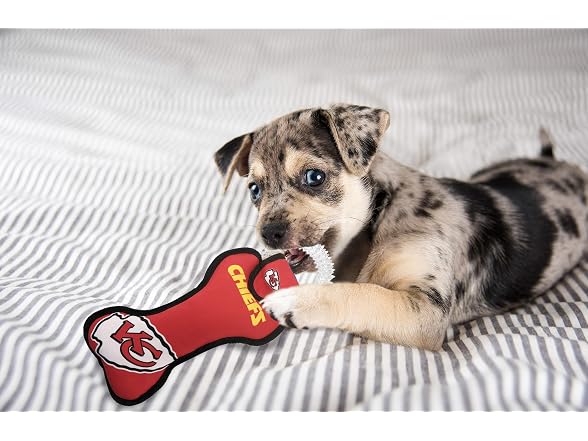 Pets First NFL Kansas City Chiefs Dental Dog TUG