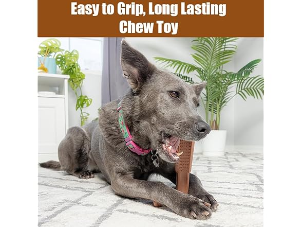 SPOT Bam-Bones Plus Coffee Wood T-Bone Dog Chew Toy, Beef