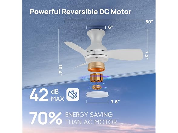 Consciot Ceiling Fan With Lights 30 Inch