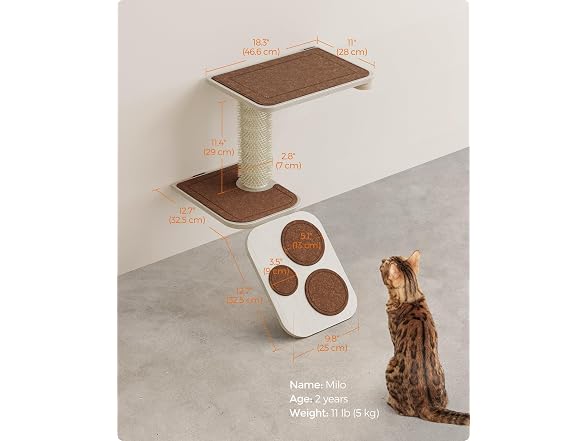 Feandrea Clickat Collection - No.004 Cat Stairs