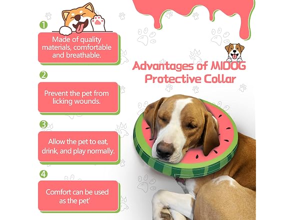 Dog Cone Collar for Small Medium Large Dogs