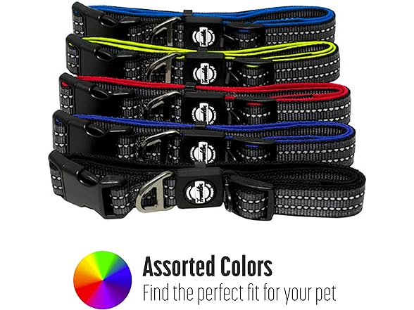 Franklin Reflective Dog Collar