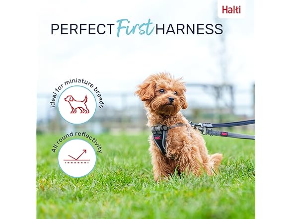 HALTI Anatomy Puppy Harness - Provides Y