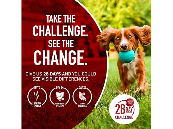 Purina One +Plus Dry Dog Food for Large Dogs