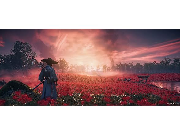 Ghost of Tsushima Director's Cut - Gallery 7