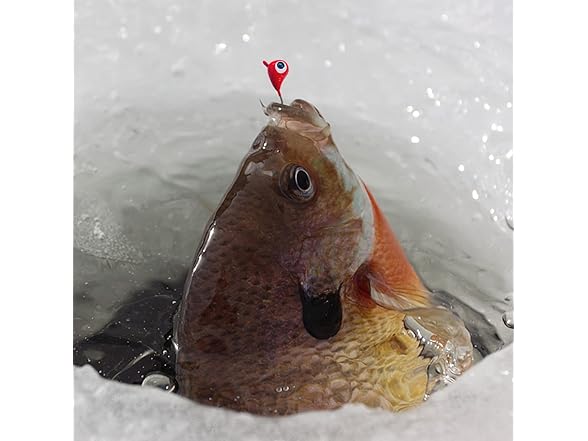 Jiatai Fishing 25Pcs Ice Fishing Jigs