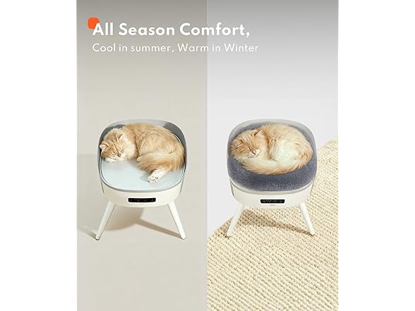 Space Heater/Heated Cat Bed