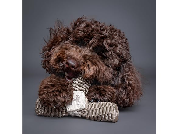 NOAH & PAW Luxury Dog Toy, Dog Rope Toy- Y Flyer, Beige