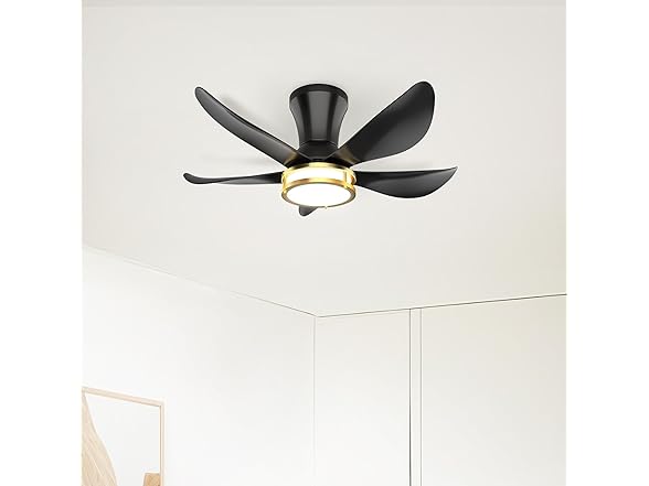 DAMINY Ceiling Fan with Light | 30In