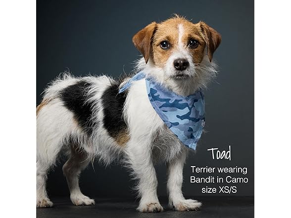 Pet Passion 2PK Multipack 100% Organic Cotton Bandanas