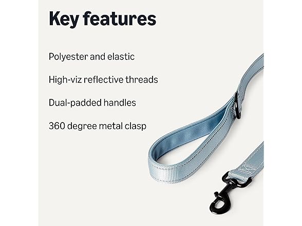 Amazon Basics Reflective Dog Leash 4ft