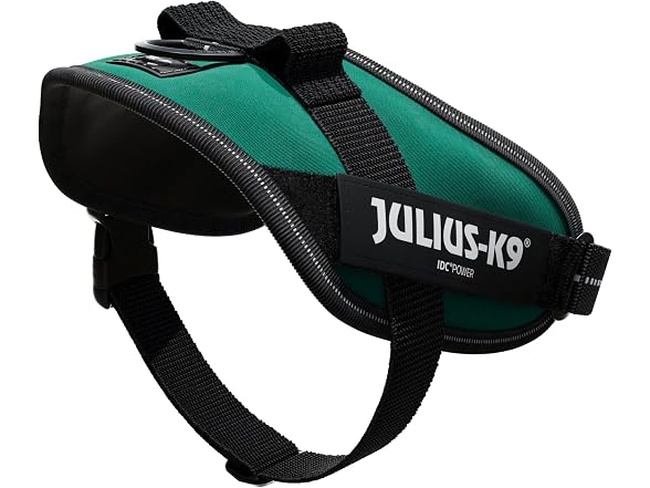 Julius-K9, 16IDC-DG-M, IDC Powerharness, Dog
