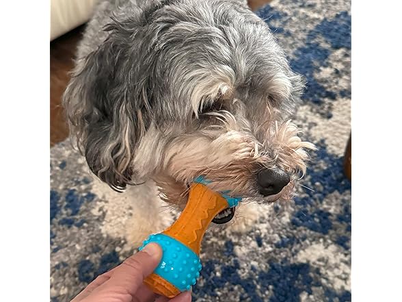 SPOT Bam-Bones Plus Gigglers Dumbbell Durable Dog Chew Toy