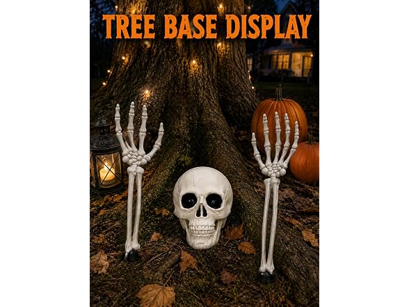 Vivinova 3pcs Skeleton Decorations 