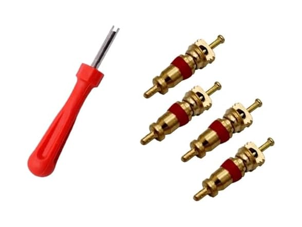 Rsbero AAP-Auto-058 Portable Tire Valve