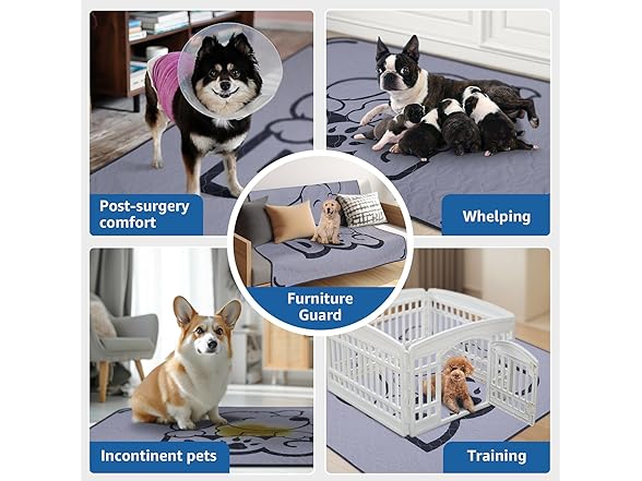 2 Pack Washable Puppy Pads in Gray