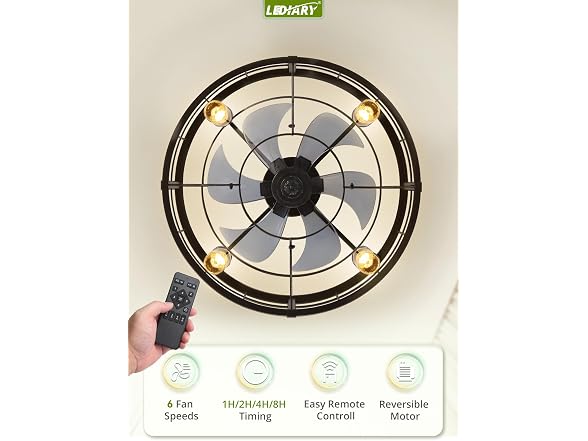 LEDIARY Black 22" Outdoor Ceiling Fan with Lights