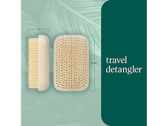 EcoTools Travel Detangler Hairbrush