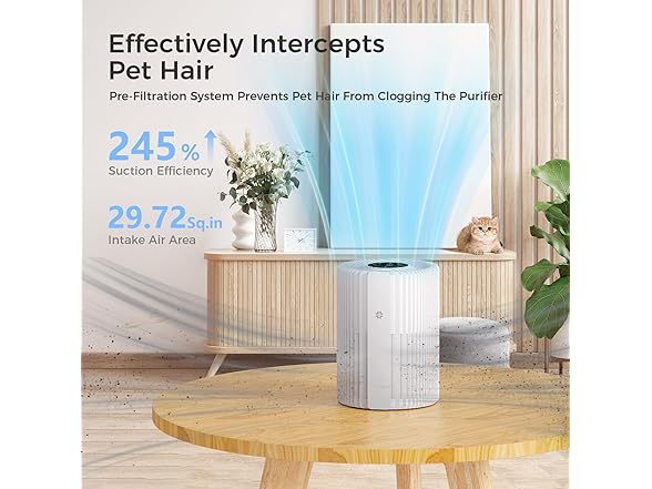 Air Purifiers with Air Quality Display
