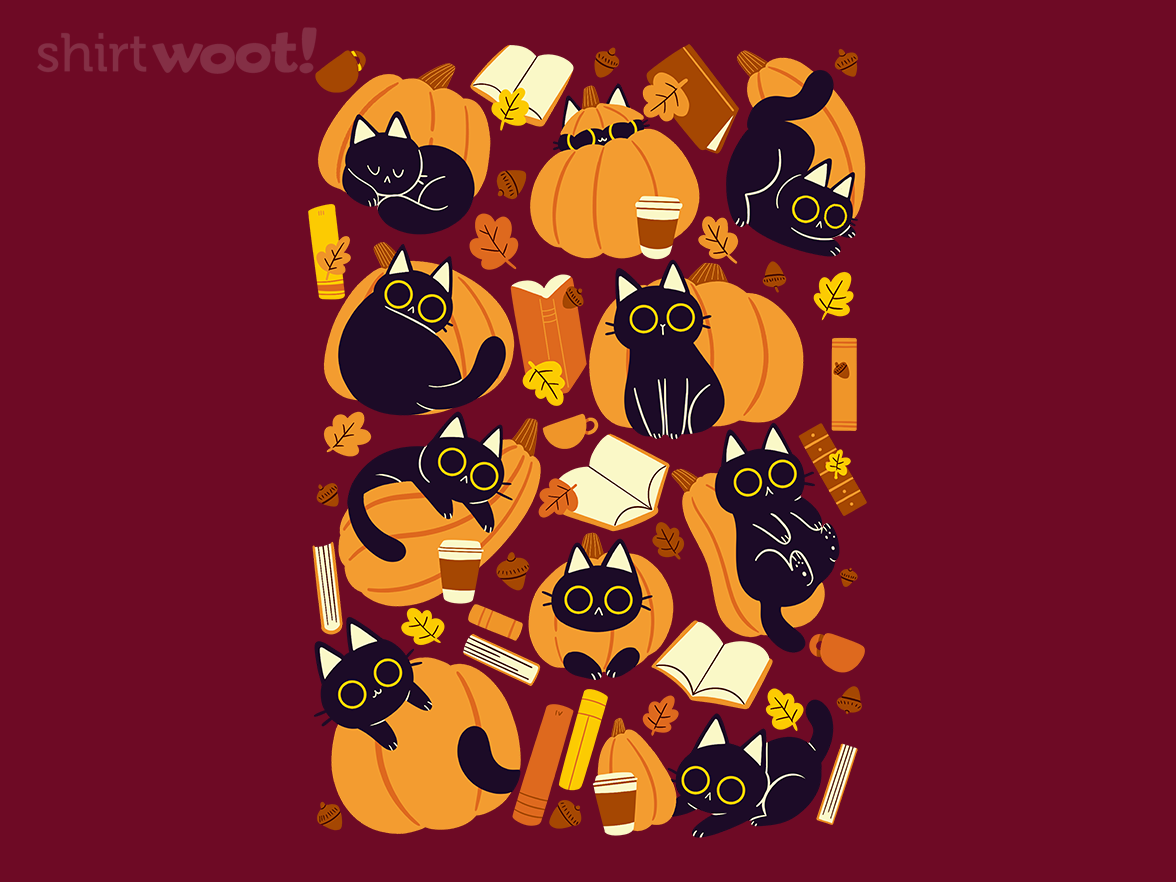Cats, Pumpkins and Books - Gallery 4