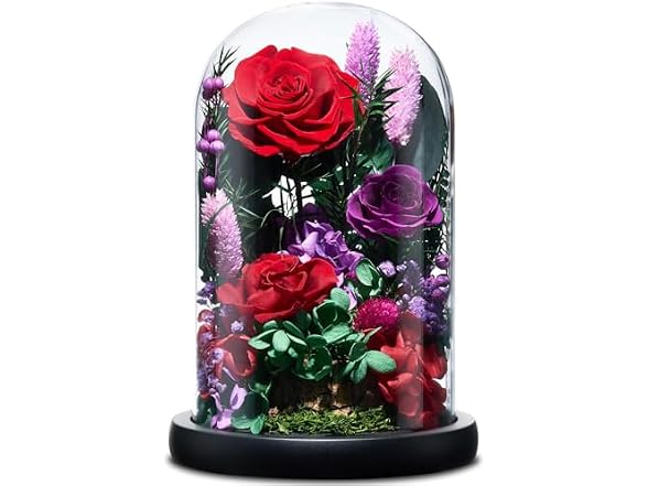 CuteWelt Preserved Roses