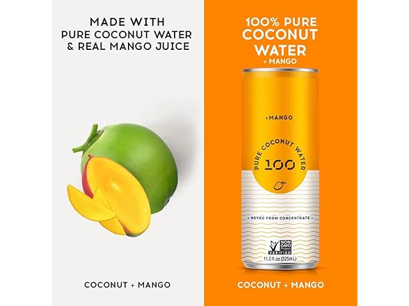 12PK 100 Coconuts Mango Pure Coconut-100%