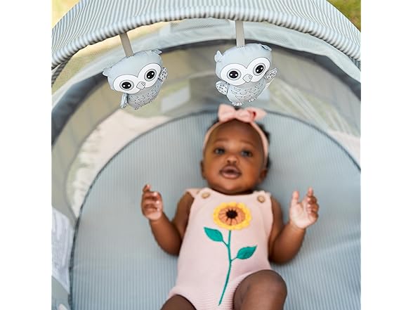 Safety 1st Sleepy Traveler Bassinet