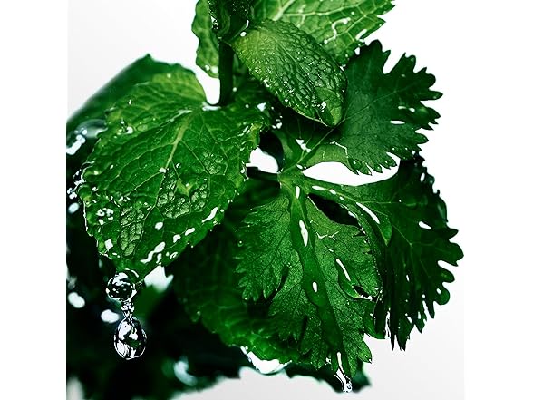 Davidoff Coolwater After Shave (M) - Choose Size