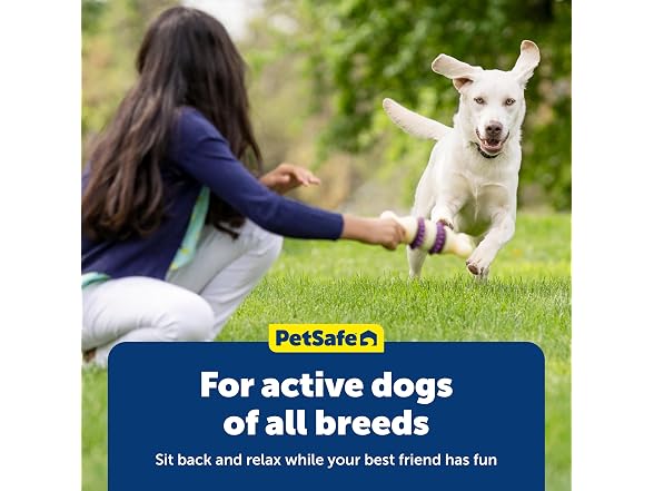 PetSafe Busy Buddy Dog Treat Rings