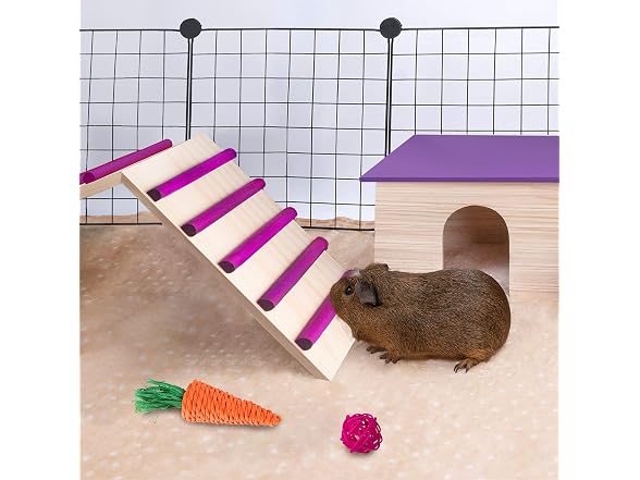 KREVEROY Wood Bridge for Small Animal Cage