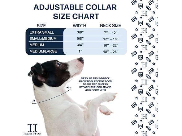 Hamilton Adjustable Nylon Dog Collar, Dk Green