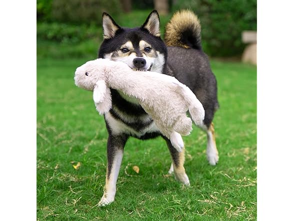 Best Pet Supplies Squeaky Dog Toys with Soft