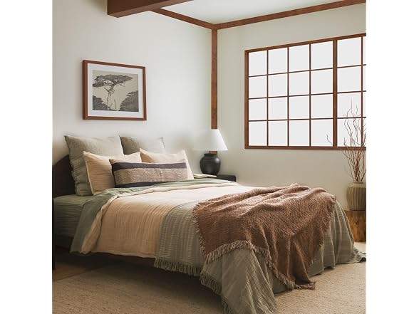 Crane Home Zen Sage Fringe Euro Sham Set