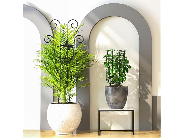 Netuaoo Plant Trellis 2 Pack