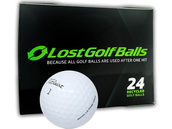 LostGolfBalls Used Titleist Pro V1 2023 (24 Pack)