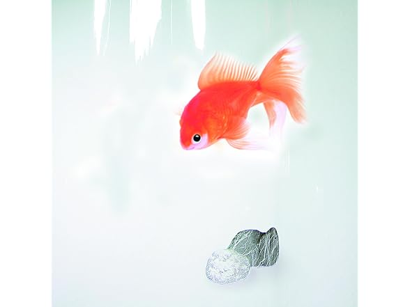 Spirella Goldfish Orange Shower Curt