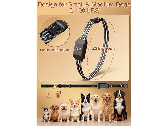 Small Shock Collar for Small & Medium Dogs 5