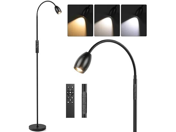 AUZONIMICS Reading Floor Lamp with Gooseneck