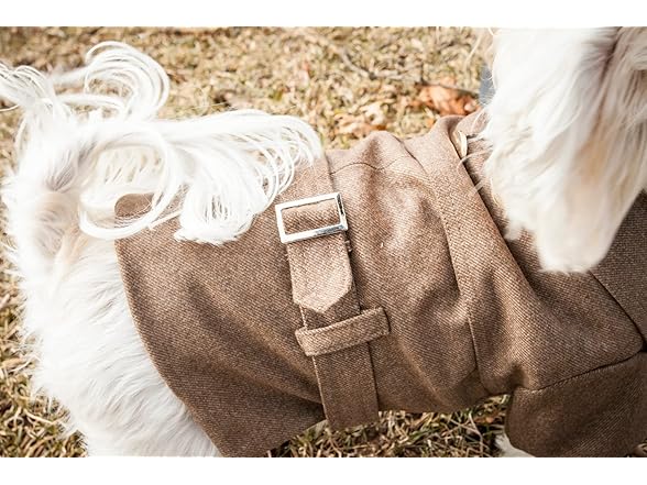 Pet Life ® Galore Buckled Wool Dog Coat