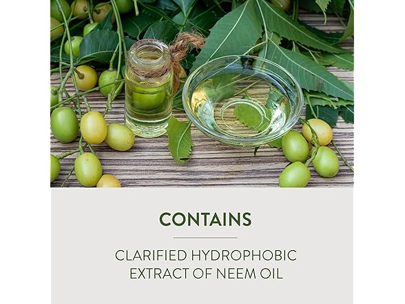 Fungicide with Neem Oil 32oz 6pk