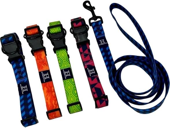 Hamilton Adjustable Waterproof Dog Collar, Lime Green Md/Lg