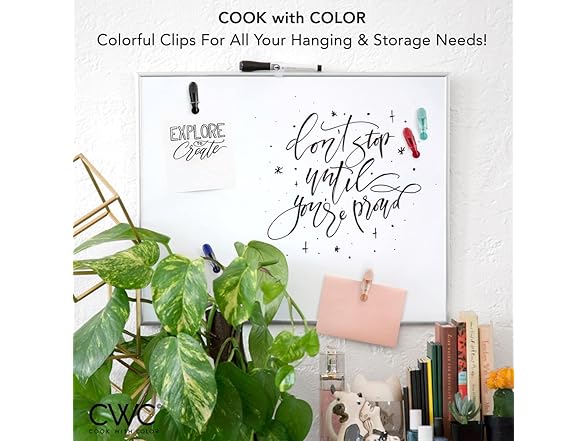 10 Pack Slim Bag Clips with Magnet