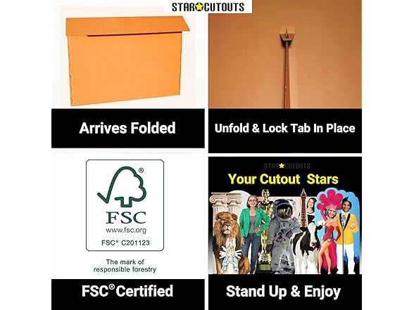 Star Cutouts SC4051 Ladybug Cardboard