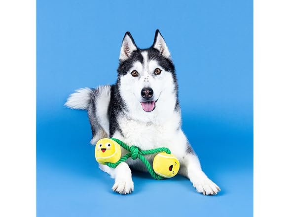 Fringe Studio Plush Dog Toy with Rope