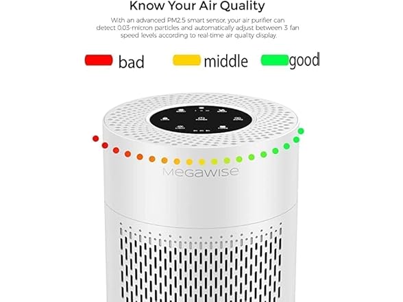 MEGAWISE Smart Air Purifier up to 1076ft