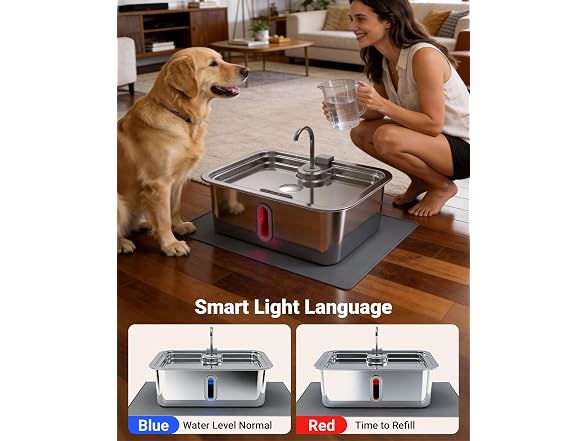 3.17Gal/12L Dog Water Fountain with Silicone