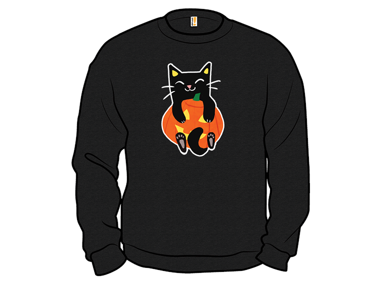 Pumpkin Cat